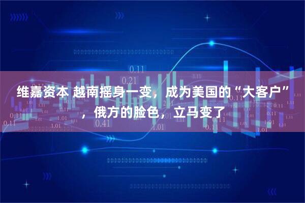 维嘉资本 越南摇身一变，成为美国的“大客户”，俄方的脸色，立马变了