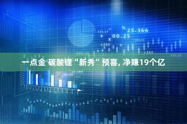 一点金 碳酸锂“新秀”预喜, 净赚19个亿