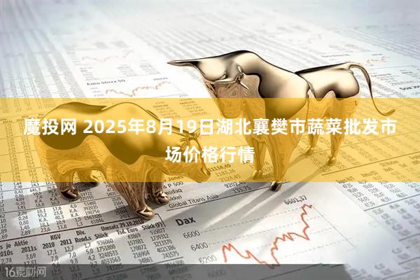 魔投网 2025年8月19日湖北襄樊市蔬菜批发市场价格行情