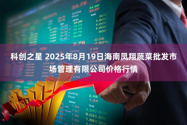 科创之星 2025年8月19日海南凤翔蔬菜批发市场管理有限公司价格行情