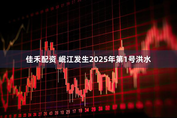 佳禾配资 岷江发生2025年第1号洪水