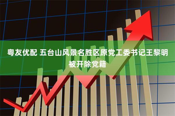 粤友优配 五台山风景名胜区原党工委书记王黎明被开除党籍