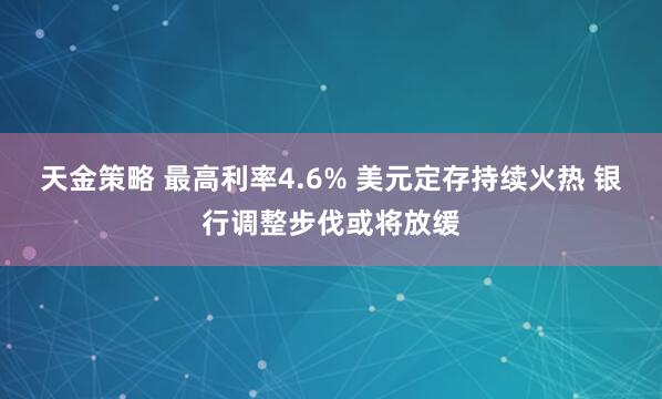 天金策略 最高利率4.6% 美元定存持续火热 银行调整步伐或将放缓
