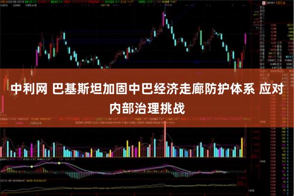 中利网 巴基斯坦加固中巴经济走廊防护体系 应对内部治理挑战