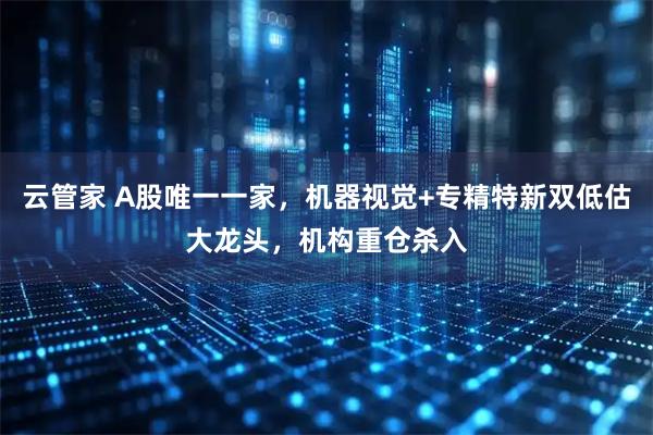 云管家 A股唯一一家,机器视觉+专精特新双低估大龙头,机构重仓杀入