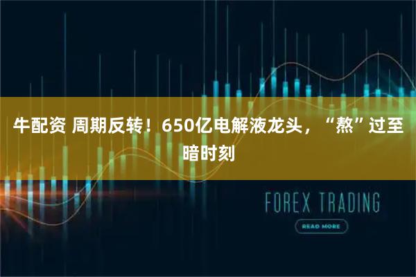 牛配资 周期反转!650亿电解液龙头,“熬”过至暗时刻