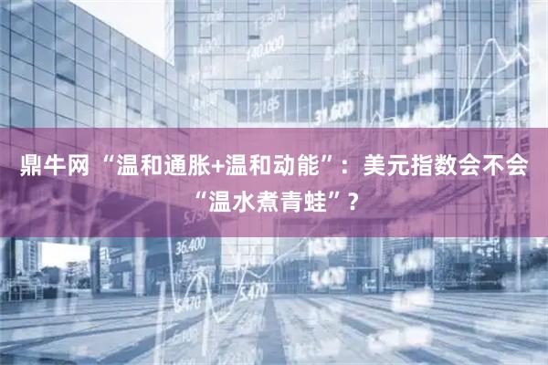 鼎牛网 “温和通胀+温和动能”:美元指数会不会“温水煮青蛙”?