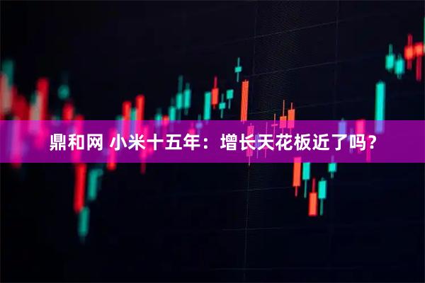 鼎和网 小米十五年:增长天花板近了吗?