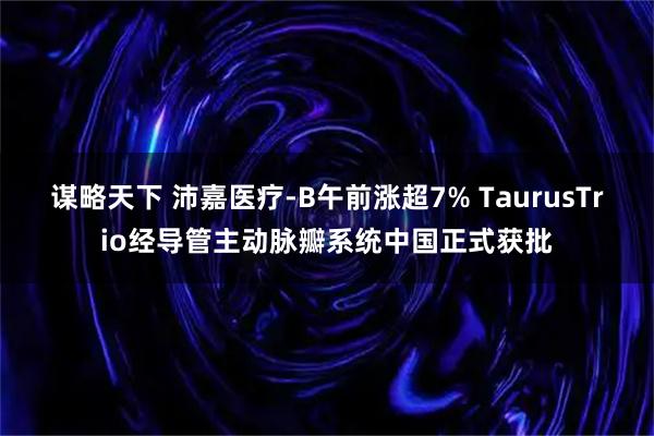 谋略天下 沛嘉医疗-B午前涨超7% TaurusTrio经导管主动脉瓣系统中国正式获批