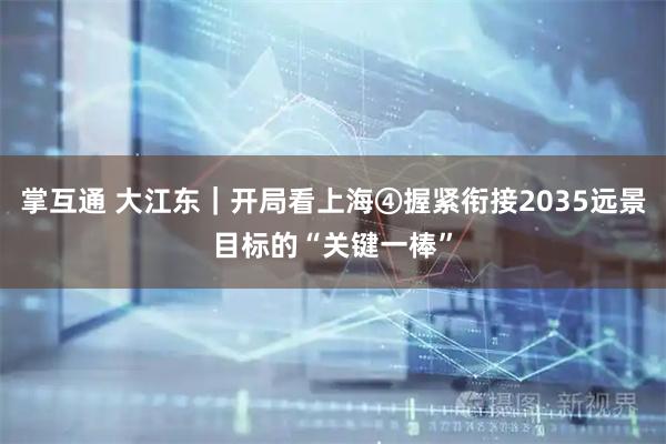 掌互通 大江东｜开局看上海④握紧衔接2035远景目标的“关键一棒”